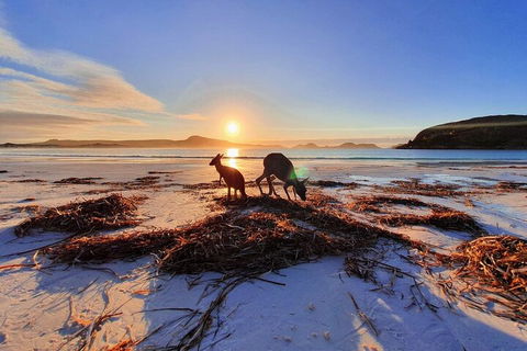 10-Day Perth To Adelaide Adventure Tour - Great Ocean Road Restaurant 1