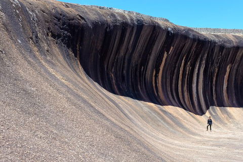 10-Day Perth To Adelaide Adventure Tour - Great Ocean Road Restaurant 3