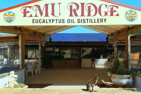 2 Day Ultimate Kangaroo Island With Return Ferry - Great Ocean Road Restaurant 3