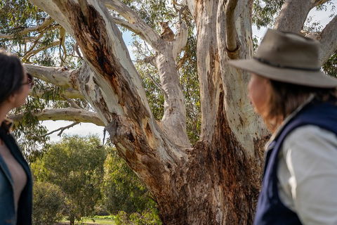 NEW TOUR - Kangaroo Island Road To Recovery Tour (1 Day/1 Night) - Great Ocean Road Restaurant 0