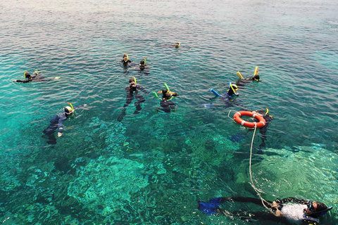 Seastar Luxury Outer Great Barrier Reef Island And Reef Tour From Cairns - Great Ocean Road Restaurant 2