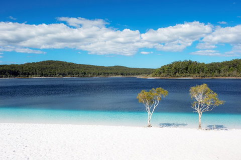 All-Inclusive Fraser Island Day Tour - Great Ocean Road Restaurant 3
