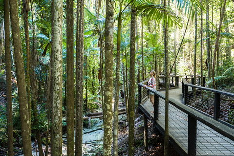 All-Inclusive Fraser Island Day Tour - Great Ocean Road Restaurant 5