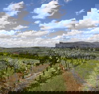 Hunter Valley Wine Tour from Sydney incl Lunch Cheese Chocolate and Distillery - Great Ocean Road Restaurant