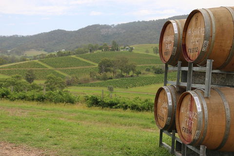 Hunter Valley Wine Tour From Sydney Incl Lunch, Cheese, Chocolate And Distillery - Great Ocean Road Restaurant 5