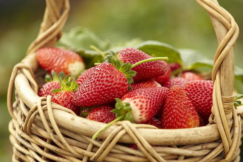 Mornington Peninsula Farm Produce Wine And Cider Tour - Great Ocean Road Restaurant 1