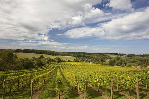 Mornington Peninsula Farm Produce Wine And Cider Tour - Great Ocean Road Restaurant 5