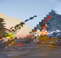 Kangaroo Island Self-Guided Kayaking on the Harriet River - Great Ocean Road Restaurant