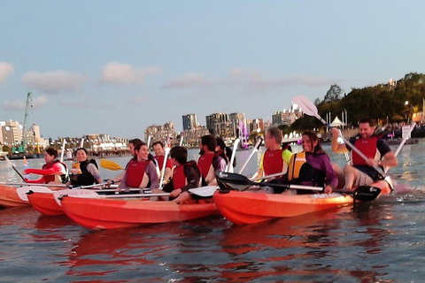 Brisbane River Guided Evening Tour By Kayak - Our Most Popular Tour - Great Ocean Road Restaurant 0
