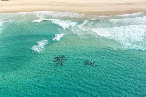 Coastal Helicopter Shared Flight - 20 Minutes - Great Ocean Road Restaurant 4