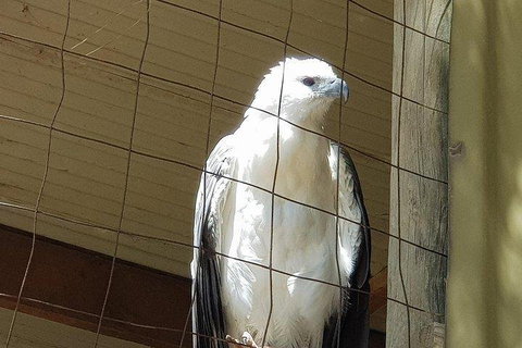 Phillip Island Penguin And Wildlife Tour - Great Ocean Road Restaurant 5