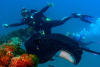 Scuba Dive the S.S. Yongala Wreck on the Great Barrier Reef., Townsville