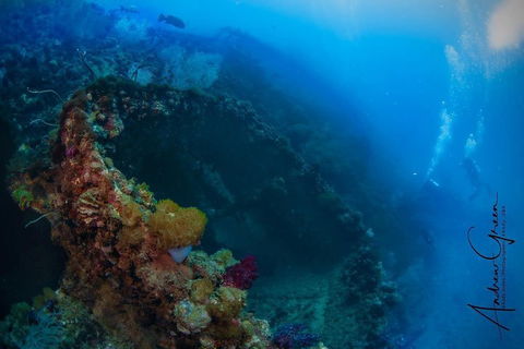 Scuba Dive The S.S. Yongala Wreck On The Great Barrier Reef. - Great Ocean Road Restaurant 3