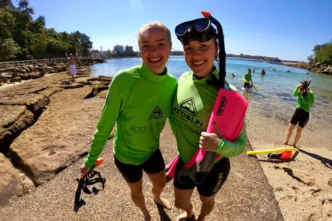 Manly Snorkel Trip And Nature Walk With Local Guide - Great Ocean Road Restaurant 1