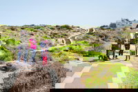 Margaret River Coastal and Wildlife Eco Trip from Busselton or Dunsborough